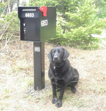 The Vacationer Large Capacity Indestructible 1/4 Inch Steel Mailbox